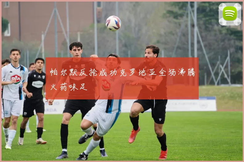 帕尔默反抢成功克罗地亚全场沸腾火药味足