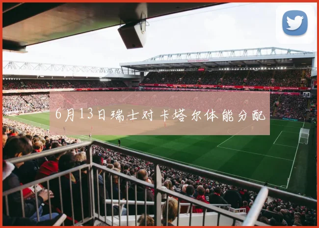 6月13日瑞士对卡塔尔体能分配
