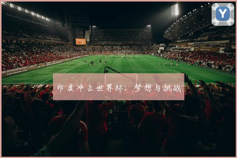 印度冲击世界杯：梦想与挑战