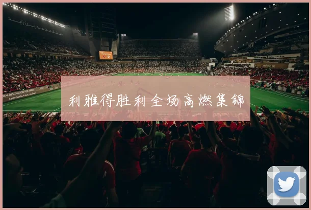利雅得胜利全场高燃集锦