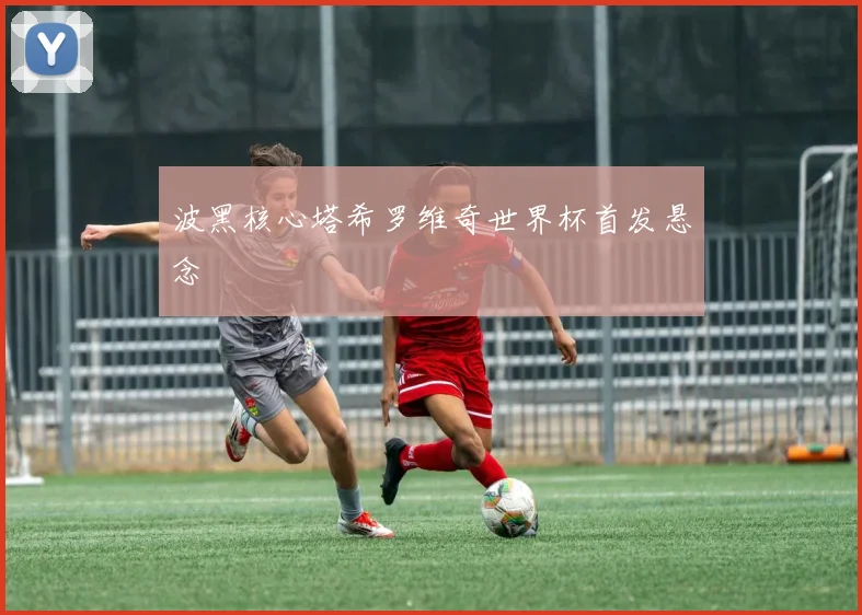 波黑核心塔希罗维奇世界杯首发悬念