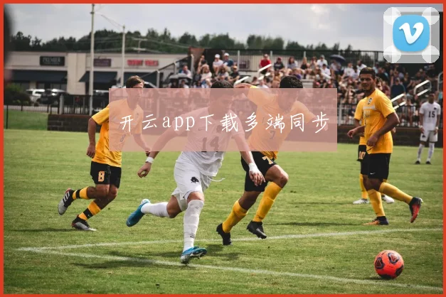 开云app下载多端同步