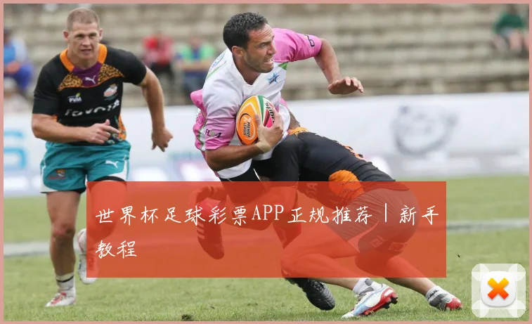 世界杯足球彩票APP正规推荐｜新手教程