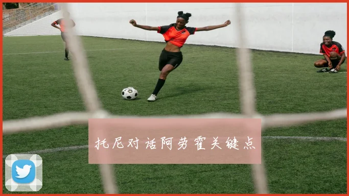 托尼对话阿劳霍关键点