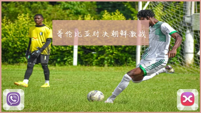哥伦比亚对决朝鲜激战