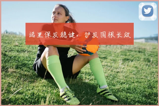 诺里保发稳健，护发固根长效