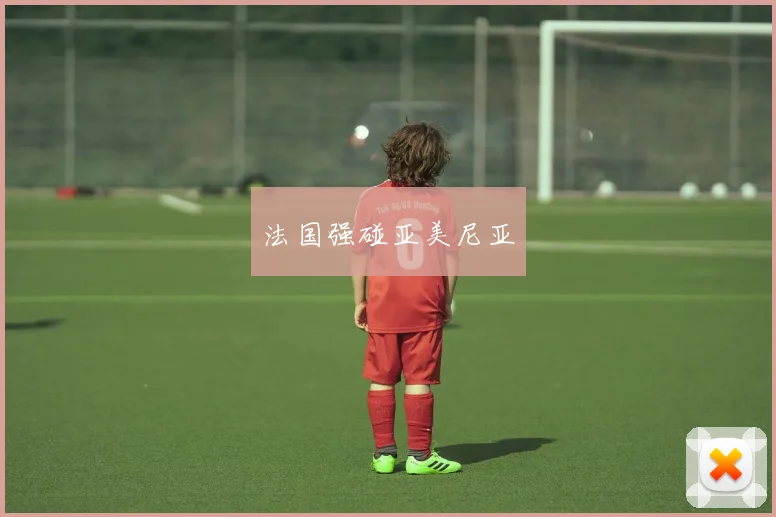 法国强碰亚美尼亚