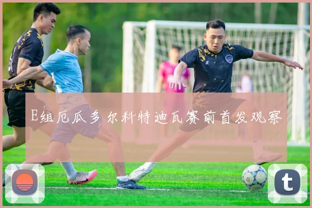 E组厄瓜多尔科特迪瓦赛前首发观察