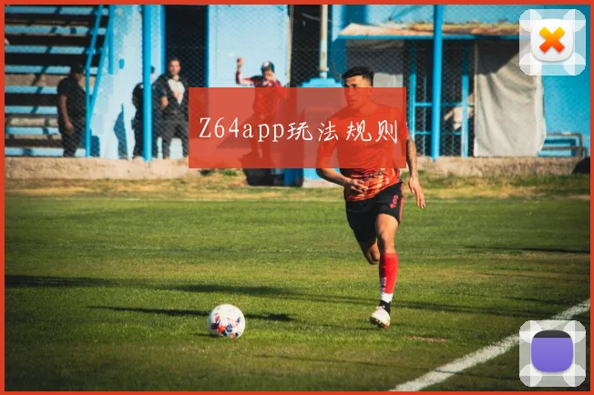 Z64app玩法规则