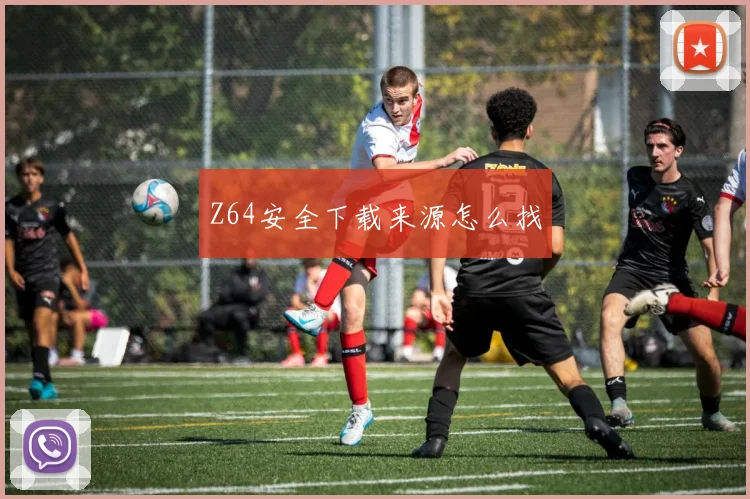 Z64安全下载来源怎么找