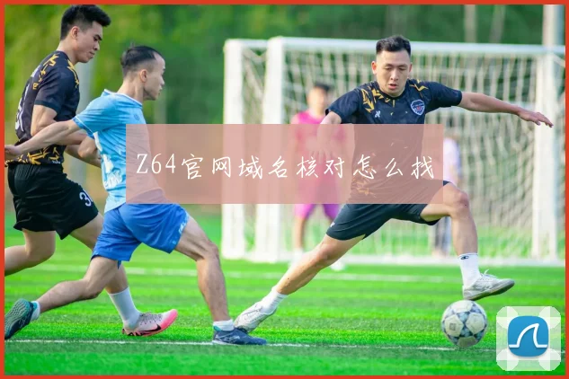 Z64官网域名核对怎么找