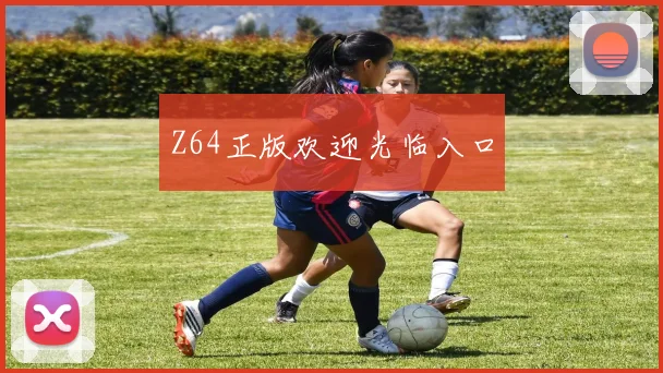 Z64正版欢迎光临入口