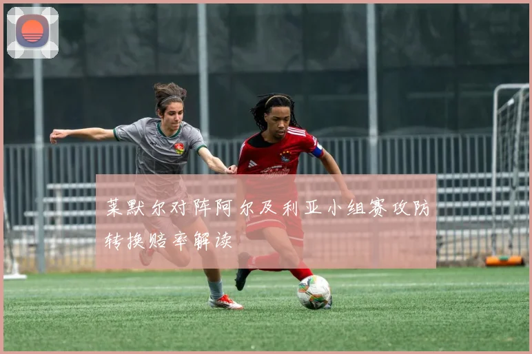 莱默尔对阵阿尔及利亚小组赛攻防转换赔率解读